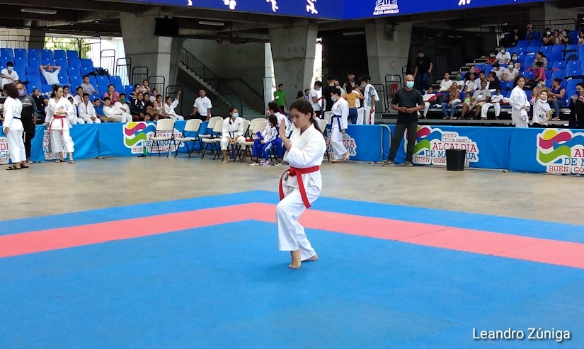karate-do